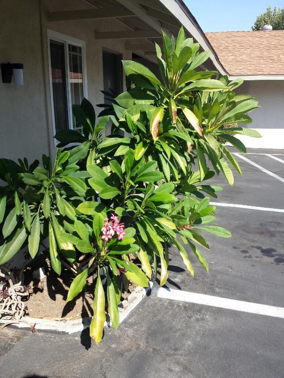 New Kansan Motel Rancho Cucamonga Exterior photo